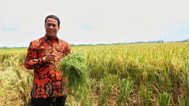 Kementan Raih Opini WTP Tiga Tahun Berturut-Turut, Pertama Dalam Sejarah