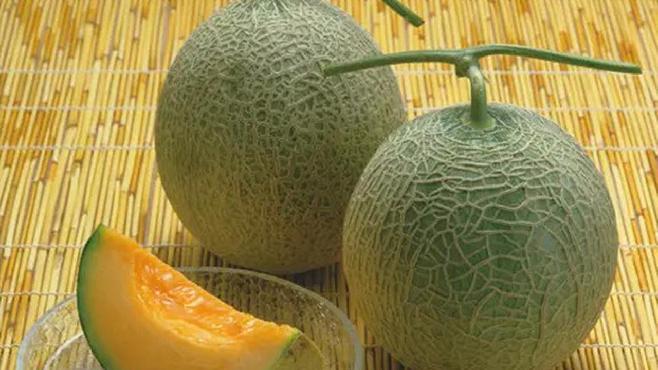 Yubari King Melon