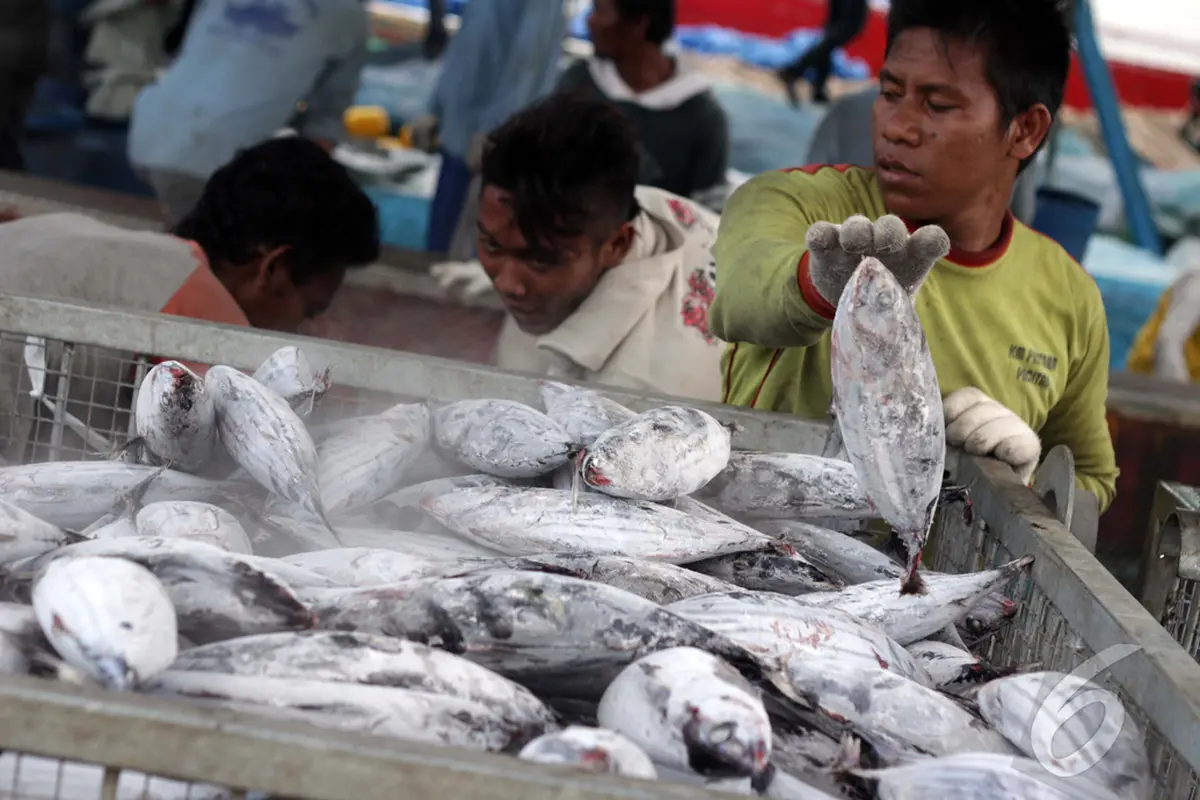 Harga Ikan Makin Murah Di 2015