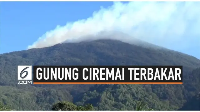Hutan Gunung Ciremai terbakar sejak Rabu (8/8/2019) siang. Api berkobar di jalur pendakian, untuk sementara semua pos pendakian ditutup. Bagaimana nasib para pendaki?