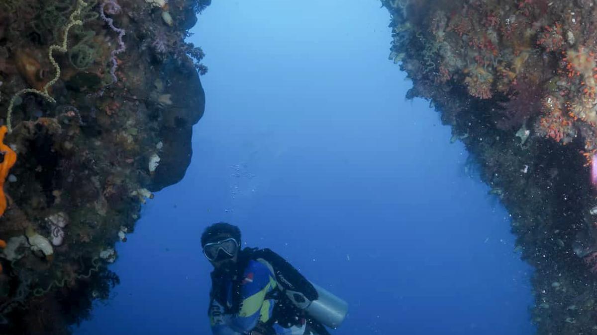 Menyelam di Pulau Monduli, Surga Tersembunyi Teluk Tomini Gorontalo