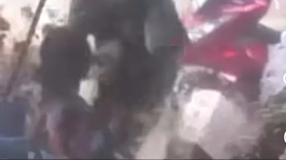 Duduk Perkara Bang Jago Acak-acak Lapak dan Pukul Pedagang