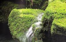 6 Wisata Tegal Populer, Destinasi Liburan Seru dan Menyenangkan