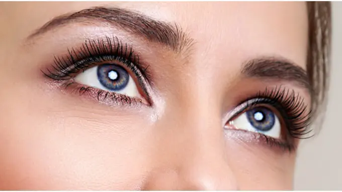 Copyright by Shutterstock.com