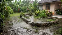 Kolam Ikan di Pekarangan Sering Meluap? Begini Cara Membuat Saluran Pembuangan yang Praktis