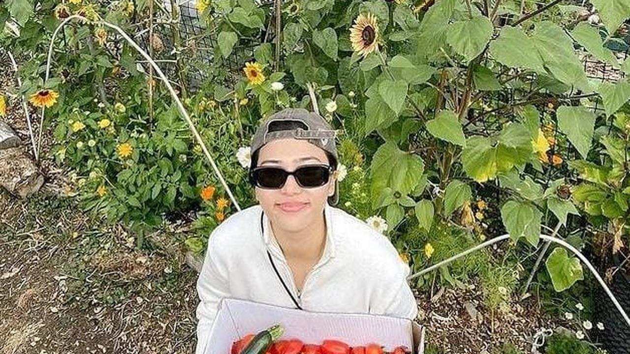 Potret Seru Isyana Sarasvati Asyik Panen Tomat di Kebun Kai Milik Sang Kakak di New Zealand