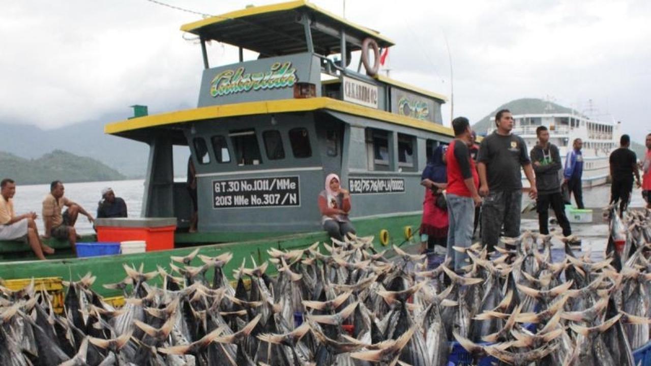 Investasi Kelautan dan Perikanan Tembus Rp7,82 Triliun hingga Triwulan III, Sektor Pengolahan Dominan