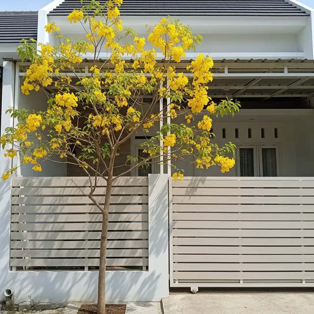 9 Jenis Pohon Hias yang Cocok Ditanam Dekat Pagar Rumah, Estetik dan Aman