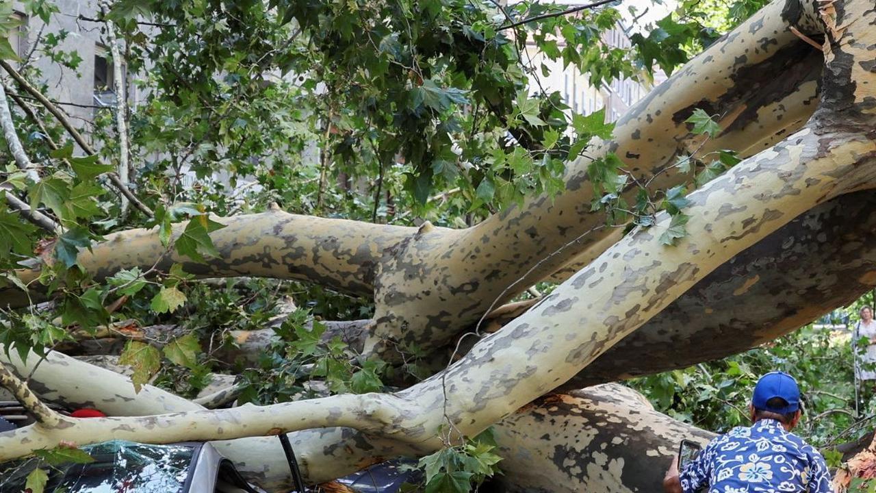FOTO: Badai Angin Kencang Terdahyat Tumbangkan Pohon-Pohon Raksasa di Kota Milan Italia, Potretnya Bikin Ngeri