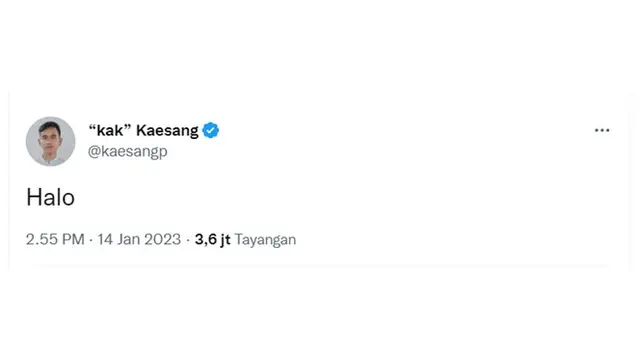 6 Cuitan Kaesang Pangarep Usai 'Menghilang' dari Twitter, Netizen Kangen Meme