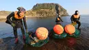 Haenyeo Korea Selatan keluar dari air setelah menangkap kerang dan abalone di pulau Jeju, 23 November 2018. Haenyeo merupakan sebutan untuk para penyelam wanita yang berasal dari pesisir Korea dengan jangka umur 35 sampai 90 tahun. (AP/Ahn Young-joon)