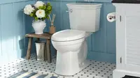Membersihkan toilet bisa jadi merupakan pekerjaan di rumah yang paling menyebalkan bagi banyak orang, namun harus dilakukan secara rutin.
