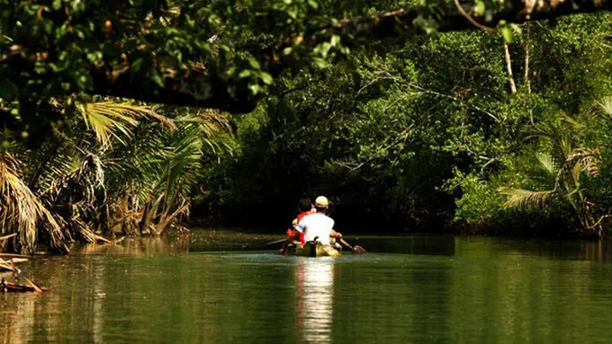 Nuansa Khas Amazon yang Misterius di Cigenter