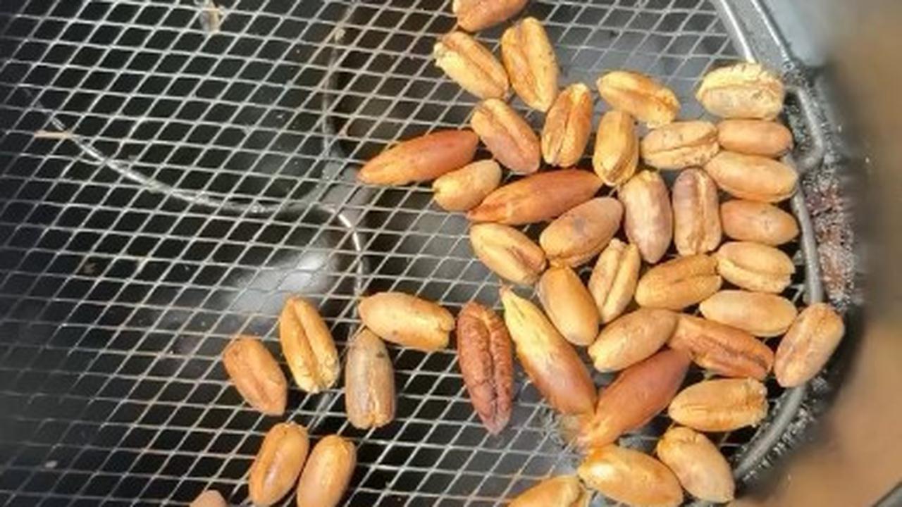 Penasaran Gara-Gara Nonton di Youtube, Tora Sudiro Bikin Kopi dari Biji Kurma - Sebut Dirinya Aki-Aki Iseng