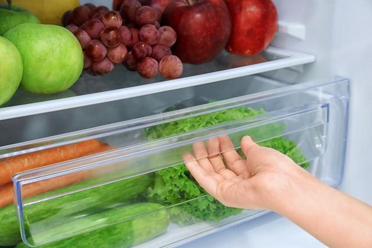 5 Cara Menyimpan Sayur agar Segar Hingga Seminggu, Anti Layu dan Hemat Uang