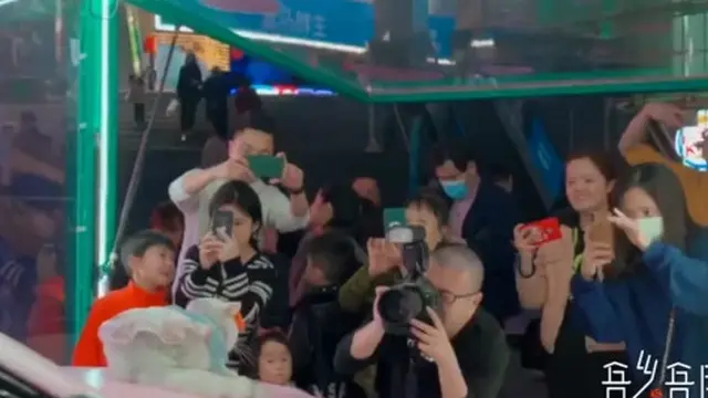 Jadi Model Mobil di Pameran Otomotif, Kucing Ini Raup Pendapatan hingga Rp 22 Juta