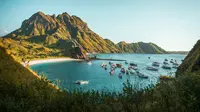 ilustrasi pulau komodo dengan keindahan alam yang unik//copyright unsplash/rizknas