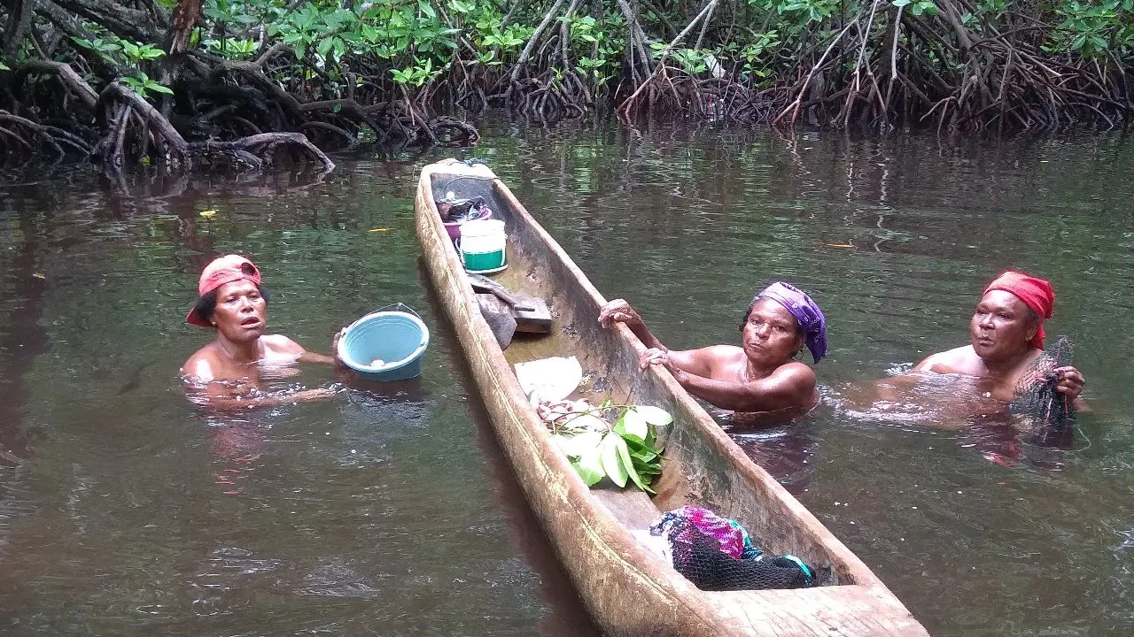Surga Dunia di Hutan Perempuan Kampung Enggros
