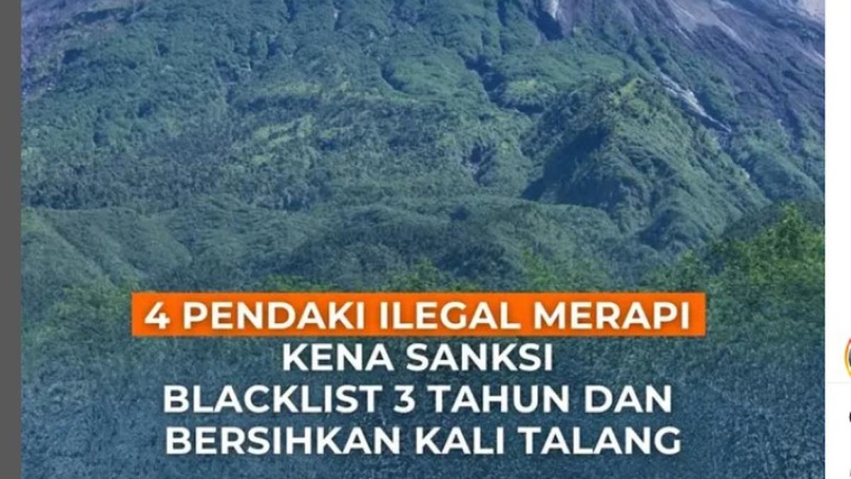 Pendaki Ilegal Kembali Terciduk Mendaki Gunung Merapi, Dihukum Bersihkan Kali Talang 3 Bulan