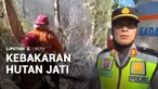 Kebakaran hebat melanda kawasan hutan jati di Kalurahan Sidorejo, Kulon Progo, Yogyakarta, Rabu siang. Kobaran api dengan cepat meluas akibat angin kencang dan kondisi lahan kering, hingga menghanguskan sekitar 3 hektare kawasan hutan.