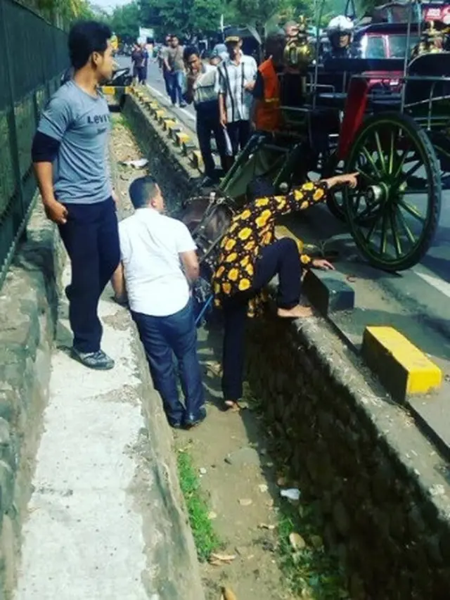 kuda jatuh ke selokan (foto: @infocegatan_jogja)