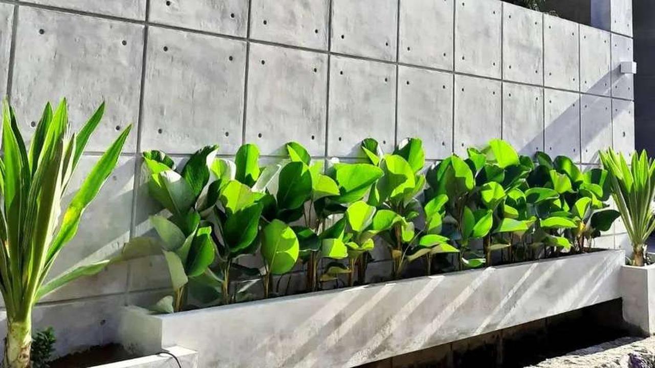 Inspirasi Taman Depan Pagar Rumah Minimalis, Cocok untuk Hunian Asri