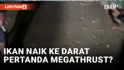 VIDEO: Diklaim Pertanda Megathrust, BPBD Lebak Jelaskan Fenomena Ribuan Ikan Naik ke Daratan