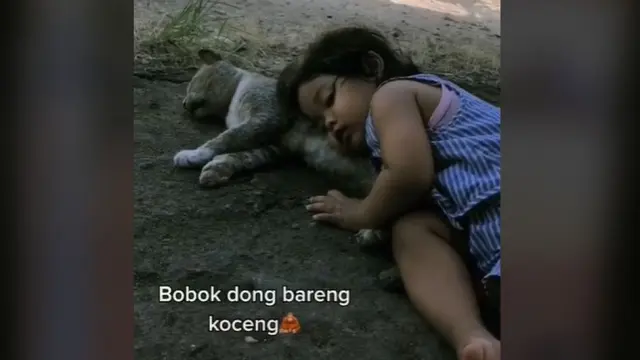 6 Kelakuan Kocak Orang Rebahan Bareng Kucing Ini Bikin Tepuk Jidat