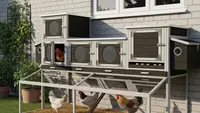 8 Model Kandang Ayam Nempel di Tembok Rumah Lahan Sempit, Pastikan Peliharaan Nyaman