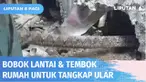 Petugas Gulkarmat membobok lantai rumah warga di Cilincing untuk mencari seekor ular. Namun upaya petugas Gulkarmat untuk menarik ular dari dalam tanah gagal, karena ular bertubuh besar ini memberontak dan kembali masuk ke rongga-rongga di bawah tana...