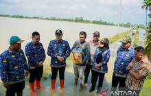 13 Ribu Hektare Persawahan di Serdang Bedagai Terdampak Banjir, Petani Terancam Puso