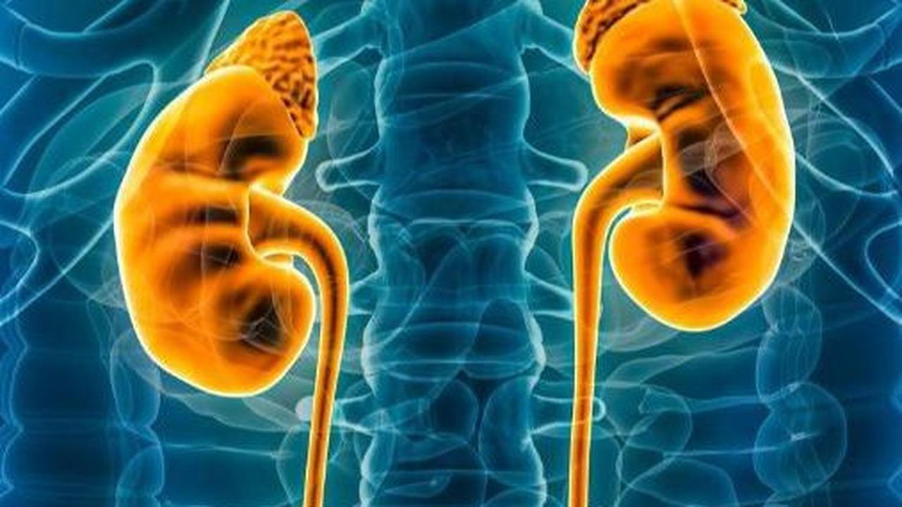 Penyebab Gagal Ginjal di Usia Muda yang Perlu Diwaspadai