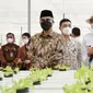 Wakil Presiden RI Ma'ruf Amin meninjau area green farm di Kawasan Batamindo Green Farm atau Singapura Fresh Green Makmur di Kabupaten Karawang, Jawa Barat, Kamis (15/9/2022).