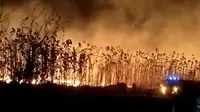 Kebakaran di lahan kilang minyak Pertamina Tuban. (Adirin/Istimewa)