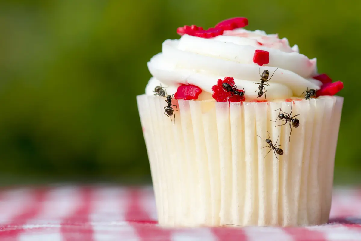 Kue
