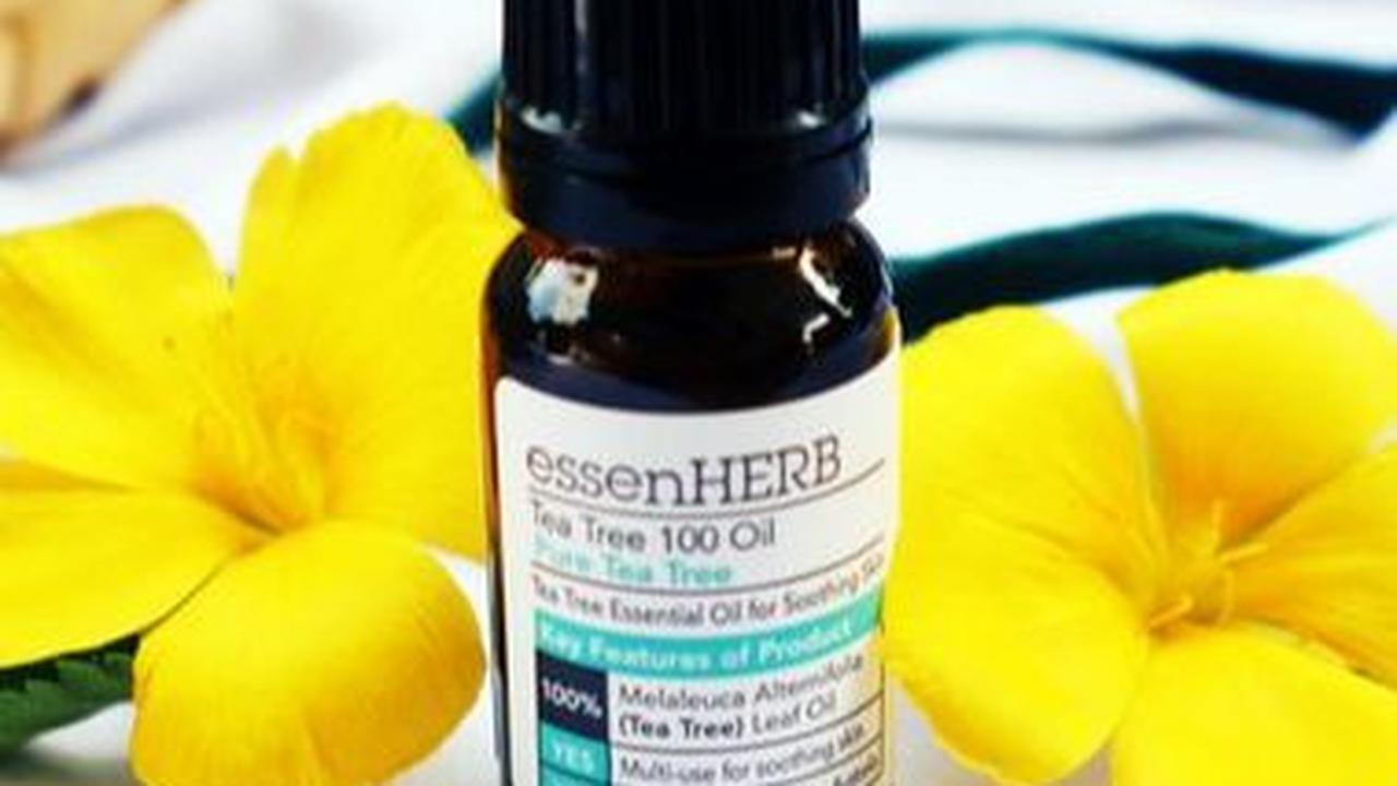 6. Rawat Kulit Kepala dengan <i>Tea Tree Oil</i>