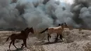 Warga membawa kudanya dengan latar belakang kepulan asap akibat kebakaran di pabrik daur ulang sampah di Ciudad Juarez, Meksiko (2/5). (AP/Christian Torres)