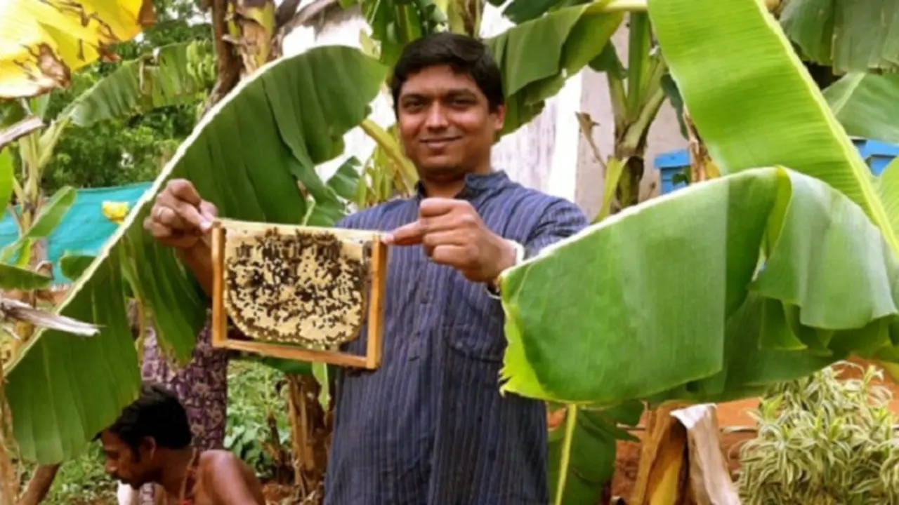 Dengan Lebah, Sarjana ini Bantu Petani Raup Untung Berlipat Ganda