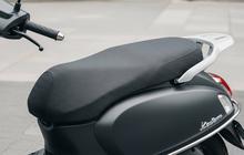 5 Bahan Rumahan yang Bisa Digunakan untuk Membersihkan Jok Motor dari Kotoran Kucing