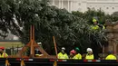 Pekerja memindahkan pohon Natal raksasa setibanya di bagian barat Gedung Capitol AS di Washington, Senin (26/11). Pohon Natal setinggi 24 meter itu diambil dari Hutan Nasional Willamette di Oregon. (AP Photo/Pablo Martinez Monsivais)