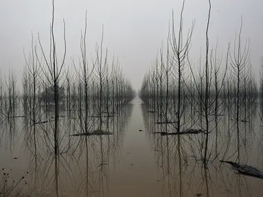 Kabut menutupi lanskap di daerah banjir dekat Sungai Ebro di desa kecil Alcala de Ebro, provinsi Aragon, Spanyol utara (13/12/2021). Hujan deras menyebabkan banjir di Spanyol utara. (AP Photo/Alvaro Barrientos)