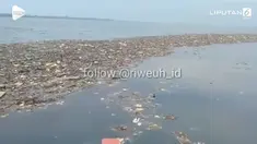 Seorang warga merekam keadaan lautan di sekitar Pulau Pari, Kepulauan Seribu yang penuh sampah berbau busuk dan tercampur limbah aspal.