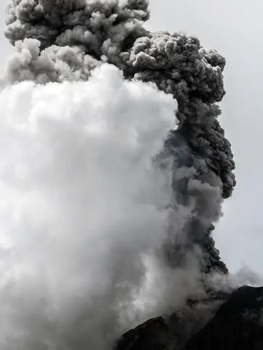 Gunung Sinabung saat memuntahkan abu vulkanik pada Senin (13/11) di Kabupaten Karo, Sumatera Utara. Sebelumnya pada 24 Oktober lalu, aktivitas vulkanik Gunung Sinabung meluncurkan awan panas sejauh 4.500 meter. (AFP Photo/Ivan Damanik)