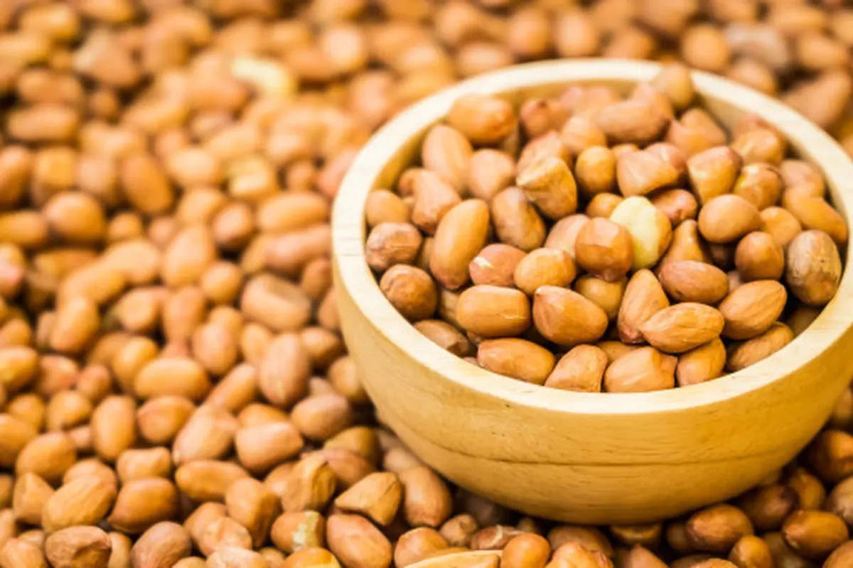 kacang tanah