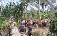 Atasi Dampak Banjir, BPBD Parimo Pasang Tanggul Darurat di Sungai Moutong
