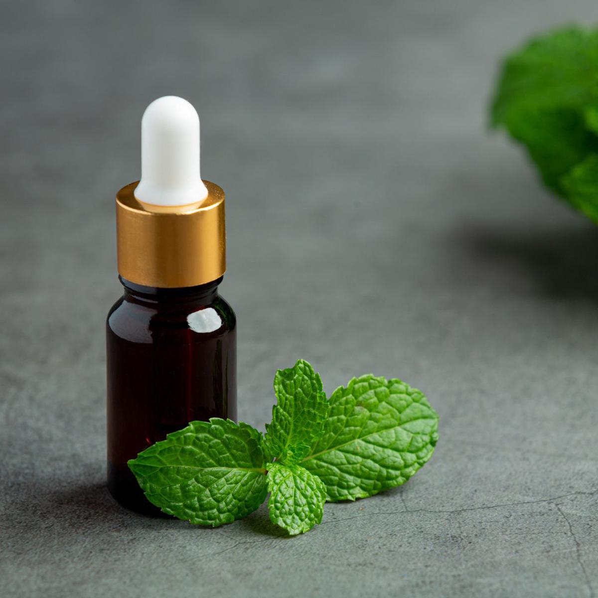 Ilustrasi Minyak Esensial Aroma Peppermint (&copy;Freepik)