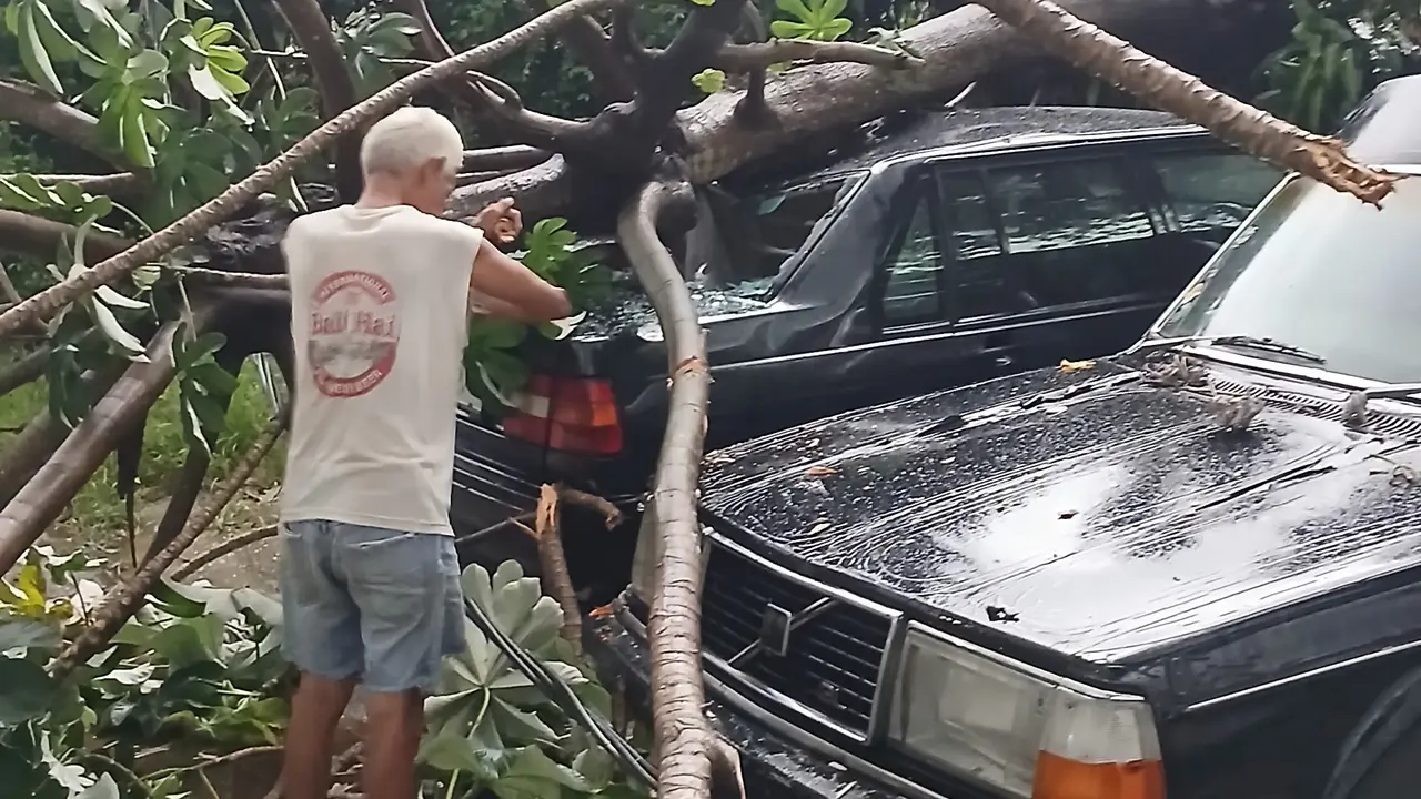 Hujan Campur Angin di Depok, Picu Genangan hingga Pohon Tumbang Timpa Mobil