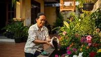 Kapan Harus Menambah Tanah di Bedengan Bunga dan Sayur? Ini Waktu Terbaiknya