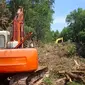 Pembalakan liar hutan mangrove Lantebung (Istimewa)