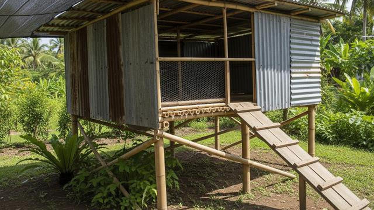 5 Desain Kandang Ayam dari Seng Bekas Sederhana, Hemat Biaya dan Ramah Lingkungan